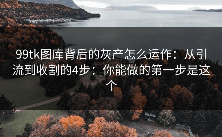 99tk图库背后的灰产怎么运作：从引流到收割的4步：你能做的第一步是这个